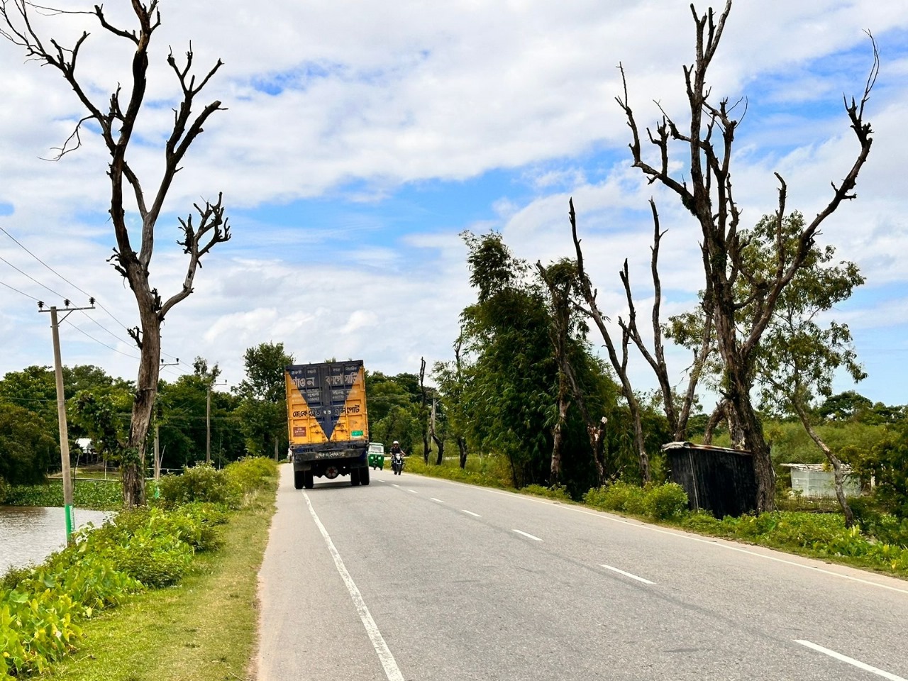 সুনামগঞ্জ সিলেট আঞ্চলিক সড়কের দুপাশে মরা গাছ, দুর্ঘটনার শঙ্কা