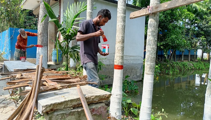 আলফাডাঙ্গায় গাছের গায়ে রং লাগিয়ে সৌন্দর্য বর্ধন