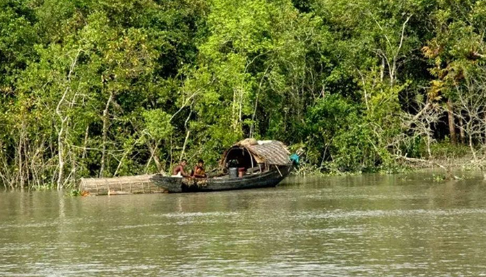 সুন্দরবনে মাছ ধরতে গিয়ে বাঘের আক্রমণে জেলের মৃত্যু
