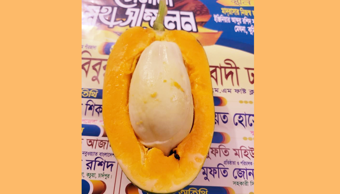 মেঘনায় পাঁকা পেঁপের ভিতর মিললো কাঁচা পেঁপে!