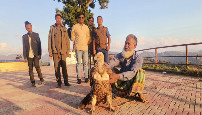 বান্দরবানের থানচিতে বিরল প্রজাতি শকুন অবমুক্ত