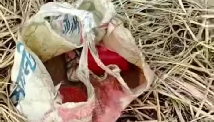 মেহেরপুরে দুটি বোমা সাদৃশ্য বস্তু উদ্ধার