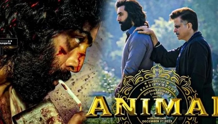 যে কারণে বাংলাদেশে মুক্তি পেল না ‘অ্যানিমেল’