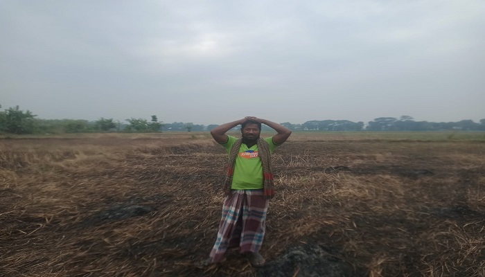 রাতের আঁধারে কৃষকের ধান ক্ষেতে আগুন