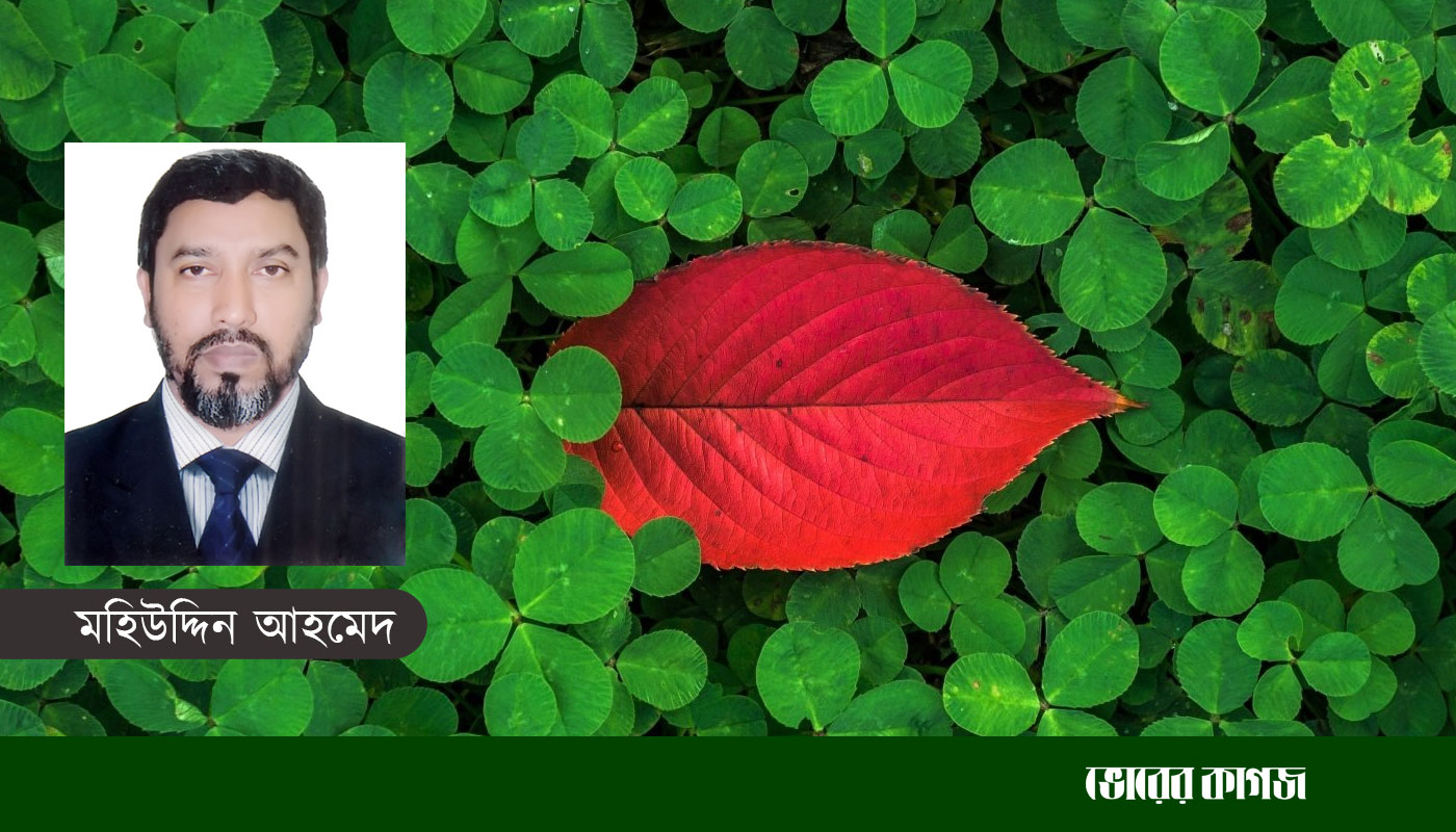 আমি মুক্তিযুদ্ধের সময় বাঙ্কারে জন্ম নেয়া সেই শিশু