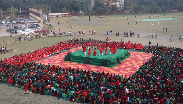 সাংস্কৃতিক অঙ্গনে বিজয় দিবস উদযাপন