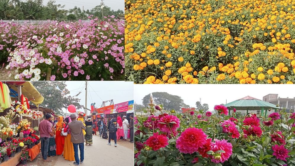 ঝিকরগাছায় ফুলপ্রেমীদের মিলনমেলা