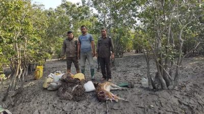 সুন্দরবন সাতক্ষীরা রেঞ্জে শিকারকৃত হরিণসহ ফাঁদ উদ্ধার