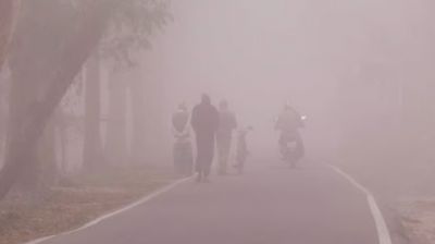 পৌষ-মাঘের সংমিশ্রণে তাণ্ডব চালাচ্ছে শীত, তীব্র ঠাণ্ডার কারণ কী?