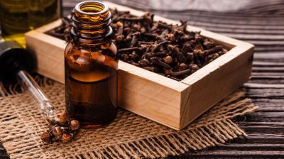 শীতে লবঙ্গ খাওয়ার গুণাবলী