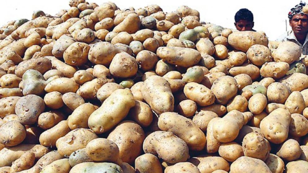 আমদানির খবরে হিলিতে আলুর দাম কমে অর্ধেকে