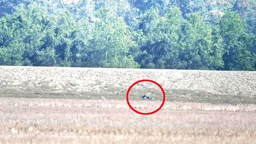 বাংলাদেশ-মিয়ানমার সীমান্তে লাশ