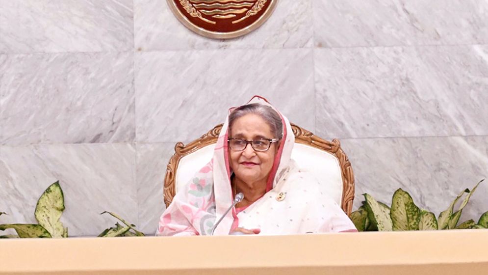 জিআই নিয়ে তৎপর হতে সংশ্লিষ্টদের নির্দেশ প্রধানমন্ত্রীর