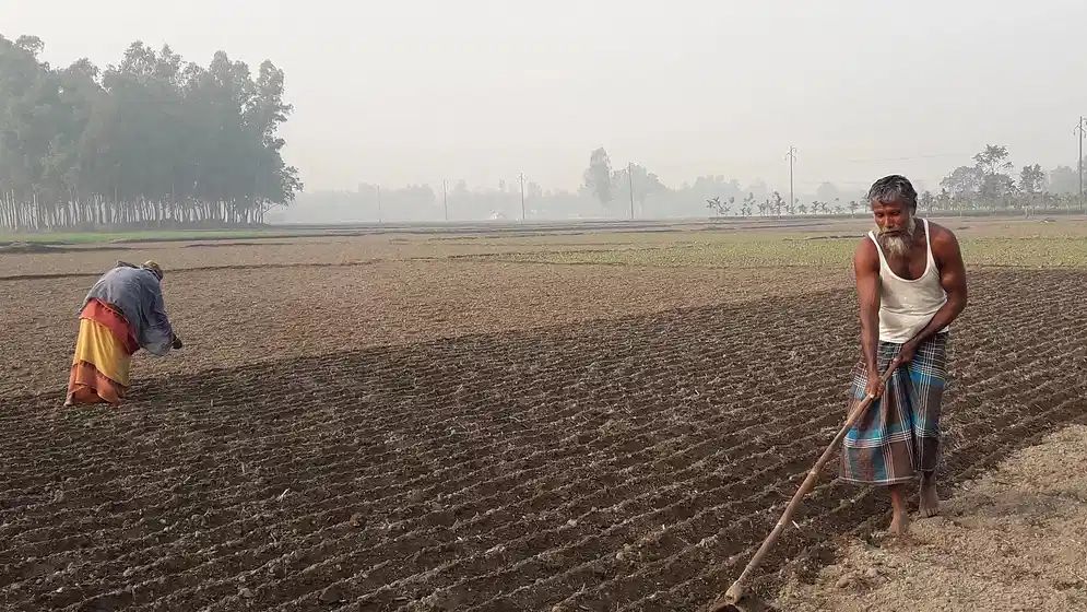 পঞ্চগড়ে শৈত্যপ্রবাহ কেটে বেড়েছে তাপমাত্রা