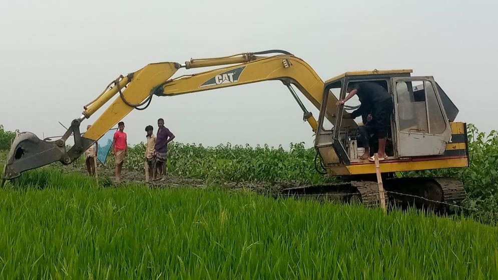 মধ্যনগরের হাওরে ঝুঁকিতে জীববৈচিত্র্য!