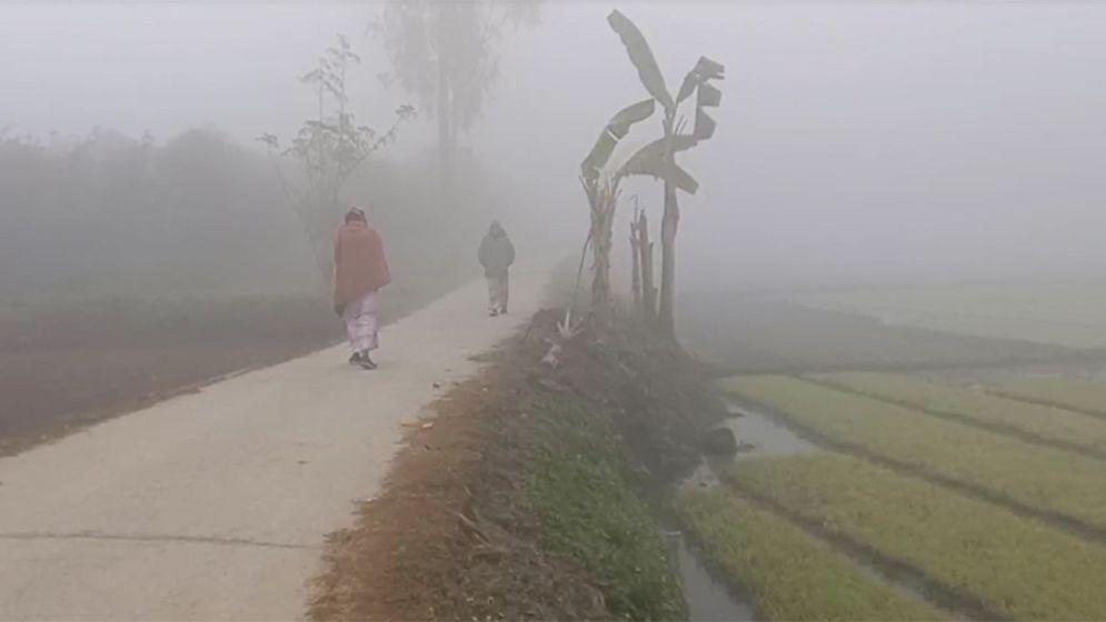 মাঘের শেষ দিনেও পঞ্চগড়ে শৈত্যপ্রবাহ