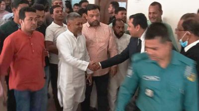 জামিন পেয়েছেন এমপি মহিউদ্দিন বাচ্চু