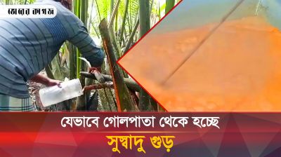 সুন্দরবনের গোলপাতা থেকে হচ্ছে মিষ্টি গুড়