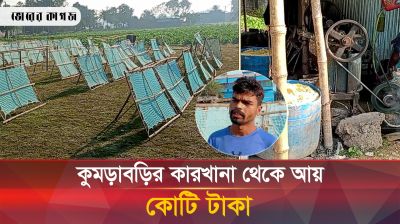 কুমড়াবড়ি বানিয়ে কোটিপতি ঢাকা কলেজের ওয়াহিদ
