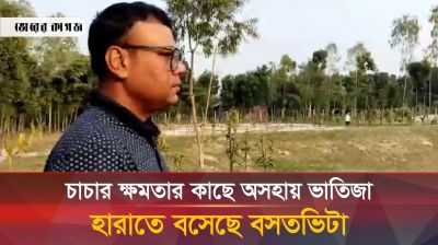 চাচার ক্ষমতার কাছে অসহায় ভাতিজা হারাতে বসেছে বসতভিটা