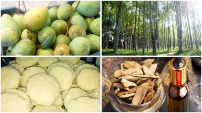 আরো ৪ পণ্য পেলো জিআই অনুমোদন  