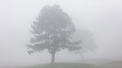 ফাগুনেও ১০ ডিগ্রিতে নামল পঞ্চগড়ের তাপমাত্রা