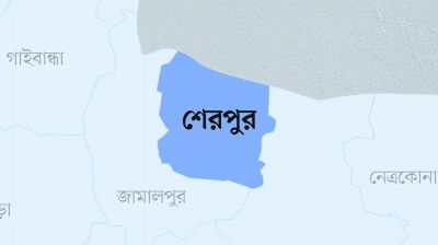 শেরপুরে বাস-ট্রলি মুখোমুখি সংঘর্ষে নিহত ২   
