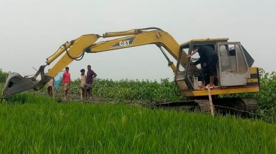 মধ্যনগরের হাওরে ঝুঁকিতে জীববৈচিত্র্য!