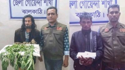 ঝালকাঠিতে ৮টি গাঁজাগাছ ও ইয়াবাসহ দুইজন আটক