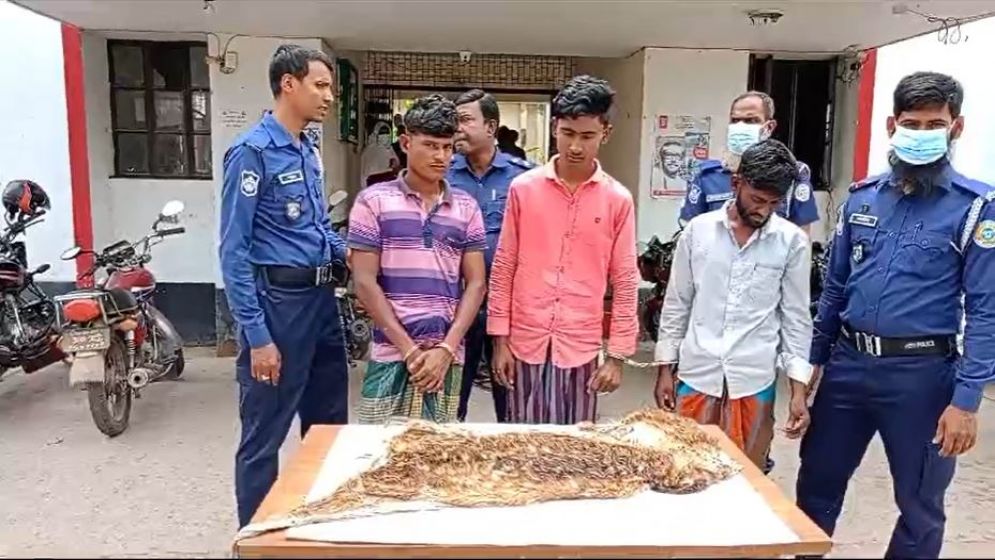 পাথরঘাটায় দুটি হরিণের চামড়াসহ আটক ৩
