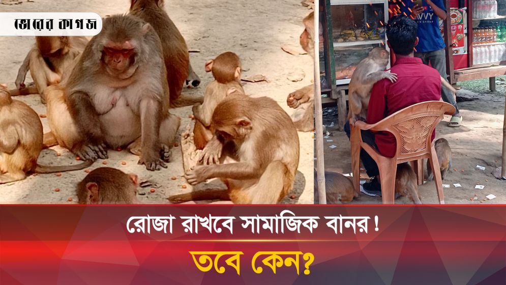 সামাজিক বানর কি রোজা রাখবে?