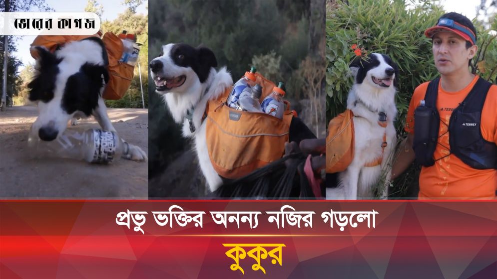 কুকুরের ব্যতিক্রমী পরিচ্ছন্ন অভিযান, হার মানিয়েছে মানুষকেও