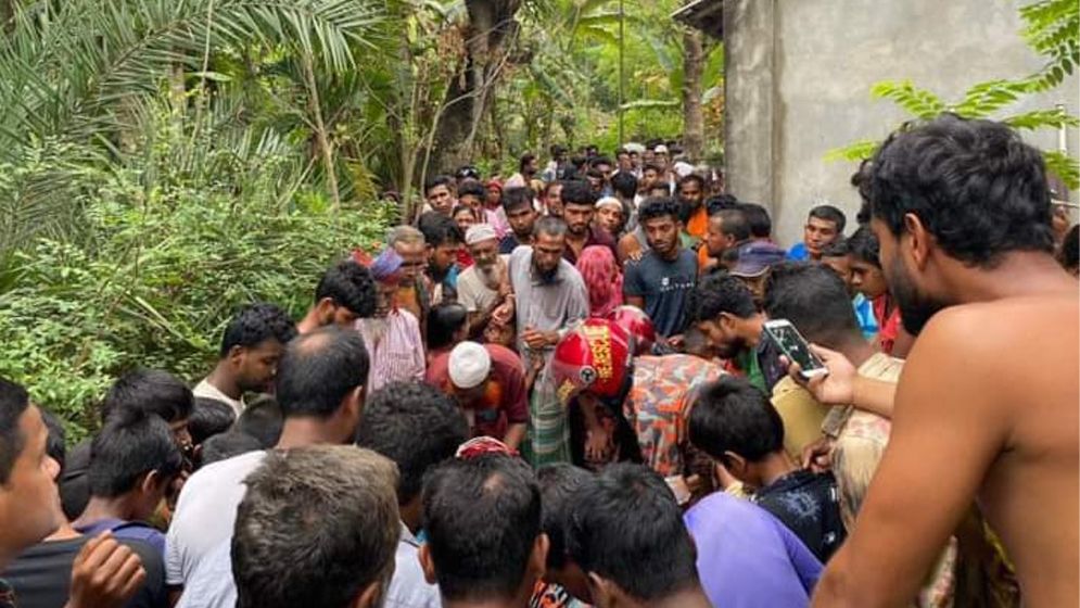 সজনে গাছের ডাল কাটতে গিয়ে কৃষকের মৃত্যু