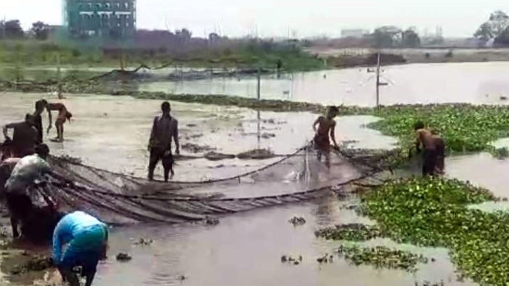 চাষীর ঘেরের মাছ ধরে নিয়ে গেল চাঁদাবাজরা