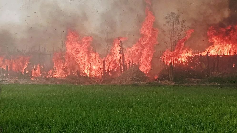 কুষ্টিয়ায় পানের বরজে ভয়াবহ আগুন, নিয়ন্ত্রণে ৮ ইউনিট