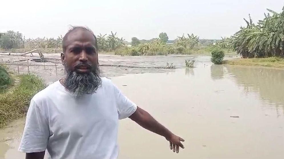 কৃষকের ৩ ফসলি জমি দখল করে নিচ্ছে ভূমিদস্যু শামীম