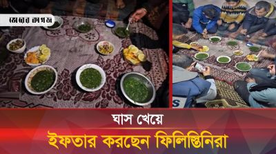 ইফতারে ঘাস খাচ্ছেন ফিলিস্তিনিরা, যে ঘটনা হৃদয় ছুঁয়ে গেছে