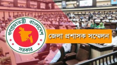 চিকিৎসায় নানা সংকটের কথা জানালেন জেলা প্রশাসকরা