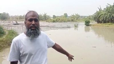 কৃষকের ৩ ফসলি জমি দখল করে নিচ্ছে ভূমিদস্যু শামীম 