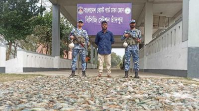 মাটিচাপা দেয়া হলো ৩৬০ কেজি বিষাক্ত চিংড়ি