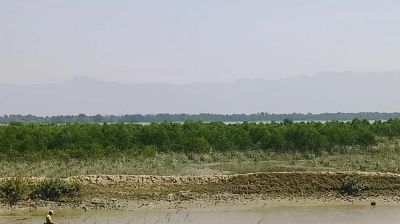 গোলাগুলি-বিস্ফোরণের শব্দে কাঁপছে টেকনাফ