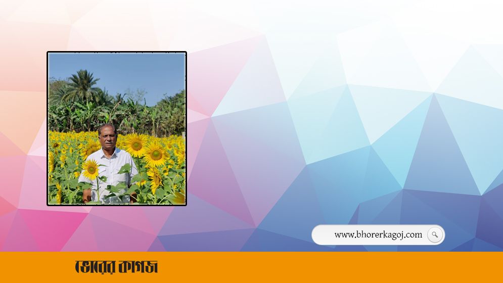 ডুমুরিয়ায় বাণিজ্যিকভাবে সূর্যমুখী চাষে কৃষকদের আগ্রহ বাড়ছে