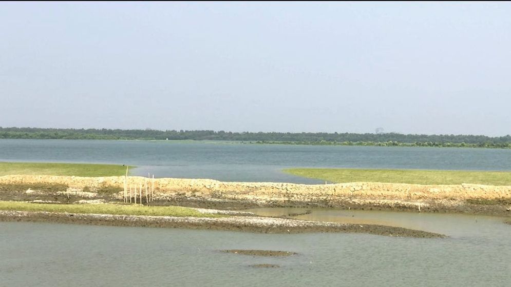 বাংলাদেশে পালিয়ে এলো বিজিপির ১৪ সদস্য
