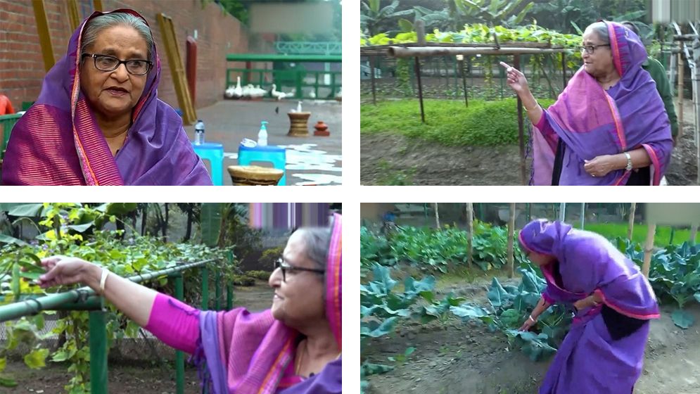 কৃষক লীগ নেতাদের গণভবনের শাক-সবজি উপহার দিলেন প্রধানমন্ত্রী
