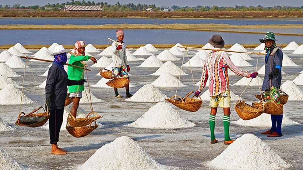 দেশে ৬৩ বছরের মধ্যে রেকর্ড লবণ উৎপাদন