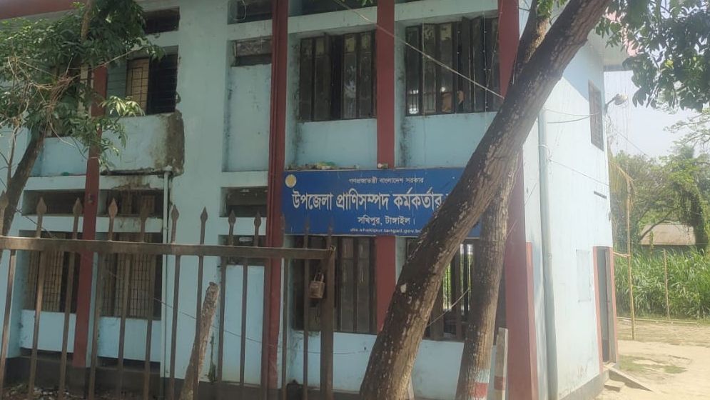 সখীপুরে ভবন সংকটে উপজেলা প্রাণীসম্পদ অধিদপ্তর