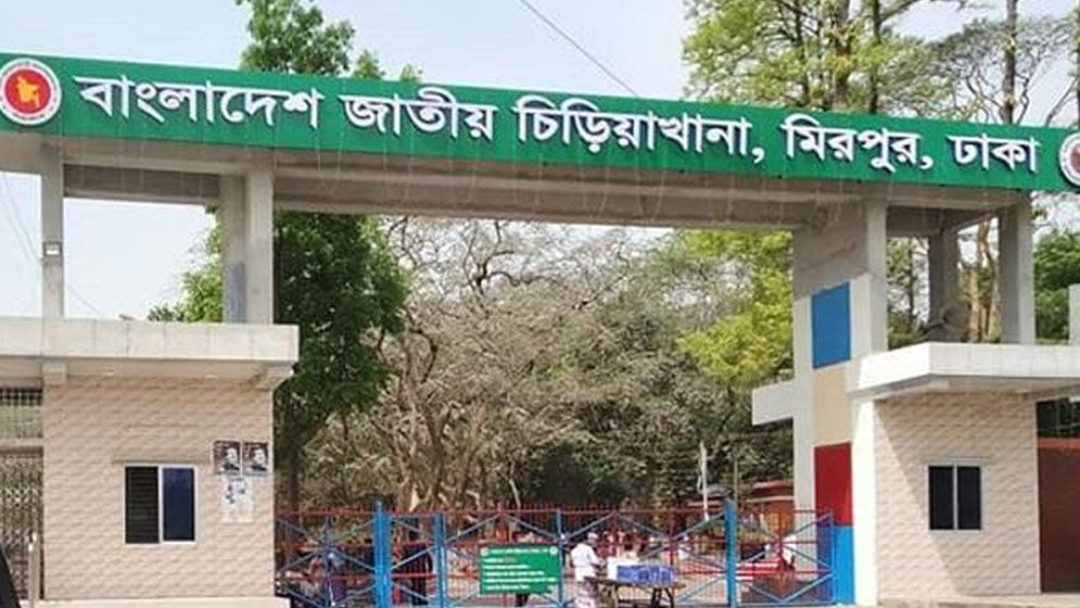 মিরপুর চিড়িয়াখানায় হাতির আঘাতে কিশোর নিহত