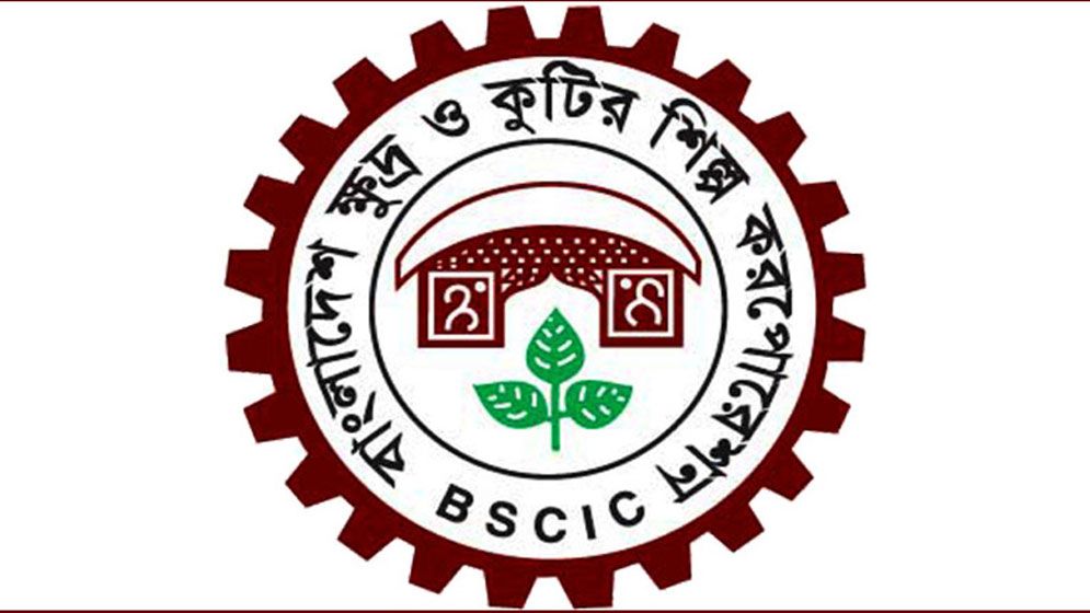 বিসিকের নারী উদ্যোক্তা উন্নয়ন প্রশিক্ষণের সুযোগ