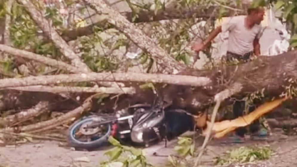 কালবৈশাখীর তাণ্ডবে লণ্ডভণ্ড জলপাইগুড়ি, নিহত ৪