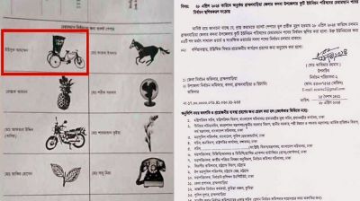 ব্যালট পেপারে ভুল প্রতীক, চেয়ারম্যান পদে নির্বাচন স্থগিত